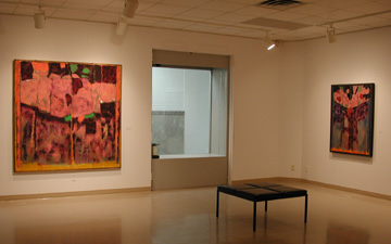 Jean McEwen Installation