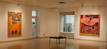 Jean McEwen Installation